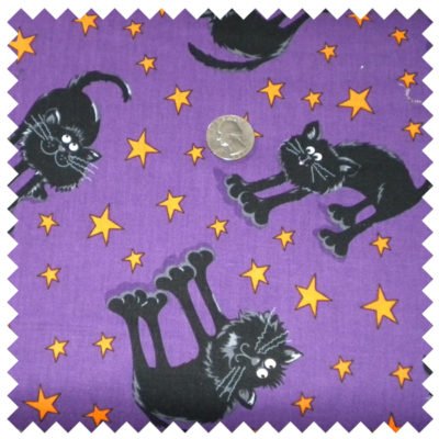 Spooktacular Halloween Kitties